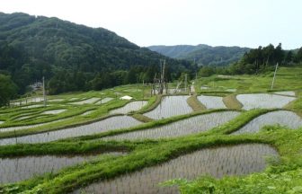 角間の棚田T済