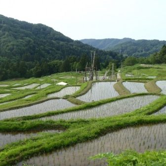 角間の棚田T済