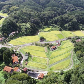 いわけ