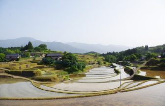 小崎