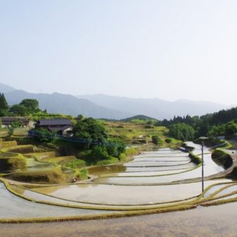 小崎