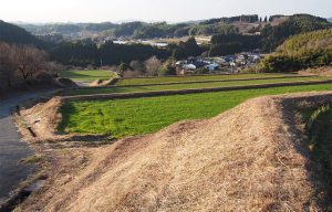 佐野棚田