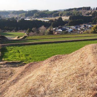佐野棚田