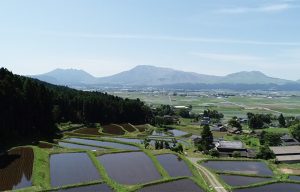 阿蘇水掛の棚田2