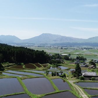 阿蘇水掛の棚田2