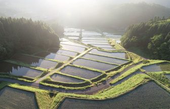 飯見