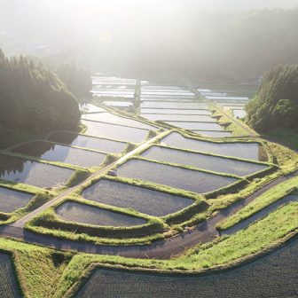 飯見