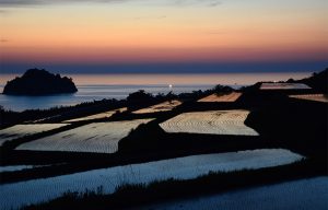 木与の棚田写真1