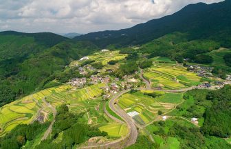 川内＿棚田2