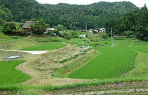 佐津目子ご美の里R