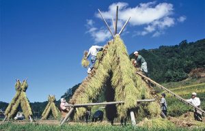 西田ヨズクR