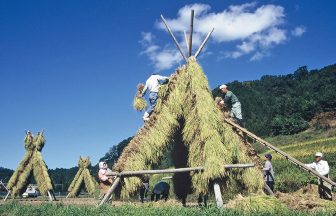 西田ヨズクR
