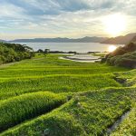 新永吉（しんながよし）｜　鹿児島県指宿市