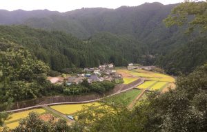 杉野原3
