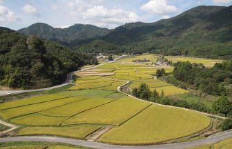 田染荘 秋
