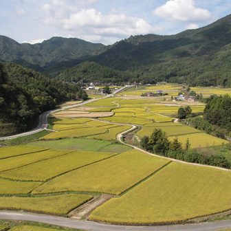 田染荘 秋