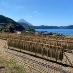 尾下（おさがり）｜　鹿児島県指宿市