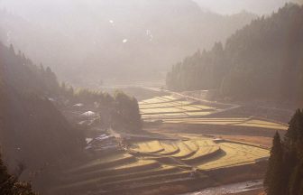 杉野原2