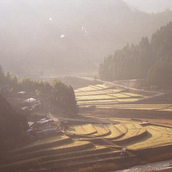 杉野原2