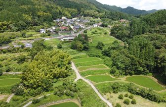 月出山棚田