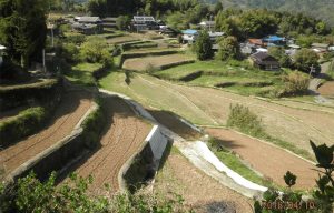 平野棚田3