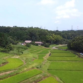 小砂棚田1