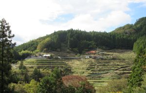 沼谷0