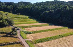 野々川1