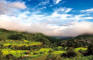 土佐・本山