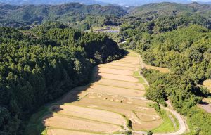 野々川2