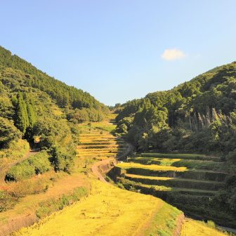 川内1