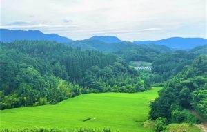 野々川3