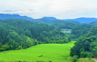 野々川3