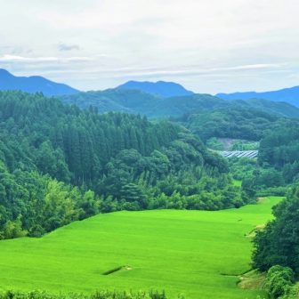野々川3