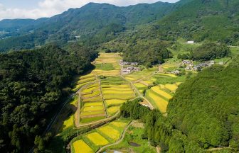 中田の棚田