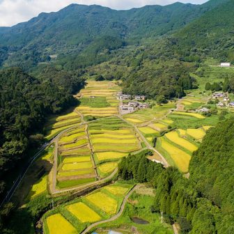 中田の棚田