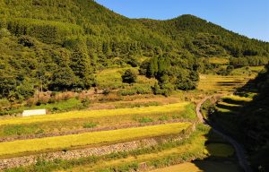 川内2