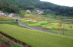 中田の棚田（【炭山の棚田】