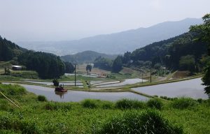 中田の棚田（炭山の棚田】 (2)
