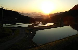 中田の棚田（炭山の棚田】