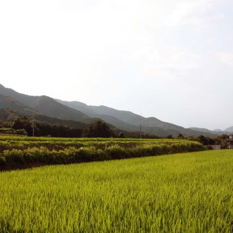 平岡公民館前（葛城山麓地域棚田）