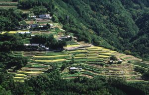 下松尾＿深山の棚田