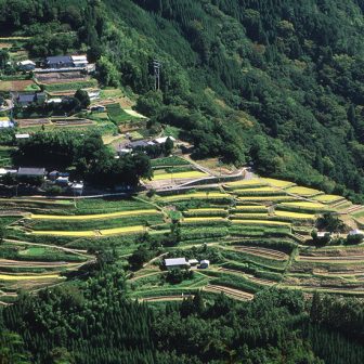下松尾＿深山の棚田