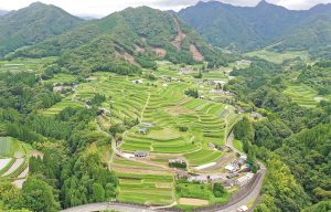 東岸寺扇の峰棚田_春