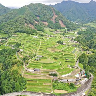 東岸寺扇の峰棚田_春