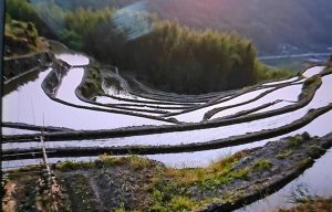 密乗院4