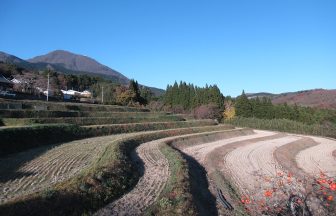 東山(1)