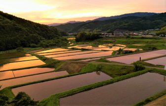 雨瀧音田の棚田　2
