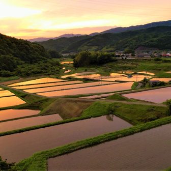 雨瀧音田の棚田　2