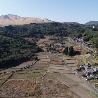 大所(1)